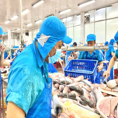 Các thị trường ngách tiềm năng cho cá tra Việt Nam