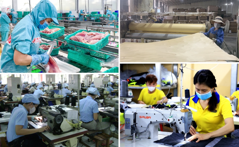 Kế hoạch hành động của Chính phủ về phát triển kinh tế tư nhân