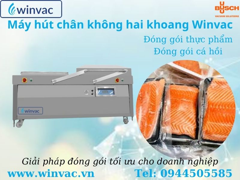 Máy hút chân không hai khoang Winvac cho thực phẩm xuất khẩu