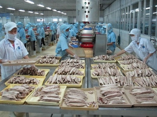 Nhiều cơ hội đẩy mạnh xuất khẩu cá ngừ sang Nga