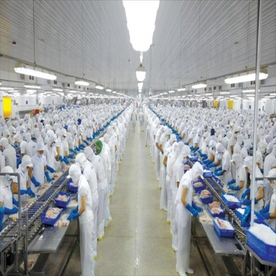 Triển vọng ngành cá tra và vị thế của Vĩnh Hoàn Corp