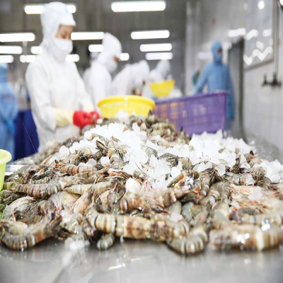 Giá xuất khẩu tôm Việt Nam sang Mỹ, Trung Quốc đều tăng