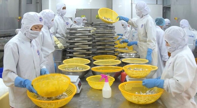 Người nuôi tôm cần bình tĩnh vượt khó trước mức áp thuế mới của Mỹ