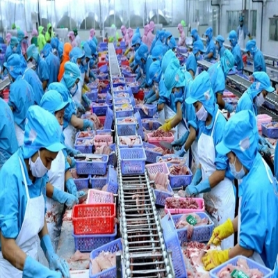 Xuất khẩu cá tra 9 tháng đầu năm: Thị trường dịch chuyển rõ nét, CPTPP và Brazil bứt phá